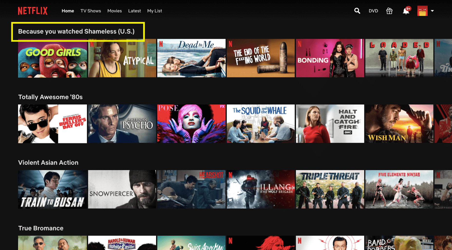 Netflix Because You Watched